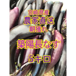 野菜　ナス　5キロ　宮崎県産(野菜)
