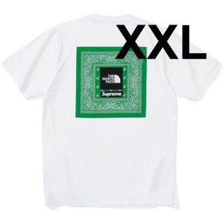 Supreme The North Face Bandana Tee(Tシャツ/カットソー(半袖/袖なし))