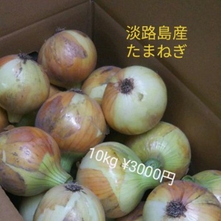淡路島産玉ねぎ 10kg(野菜)