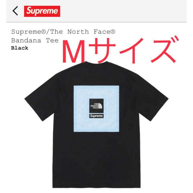 Supreme / The North Face Bandana Tee黒M - Tシャツ/カットソー(半袖 ...