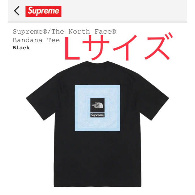 Supreme / The North Face Bandana Tee黒L - Tシャツ/カットソー(半袖 ...