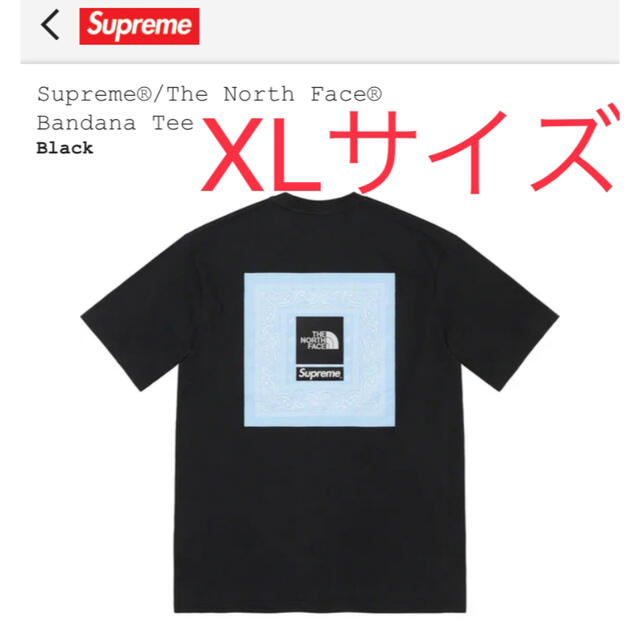 Supreme / The North Face Bandana Tee黒XL