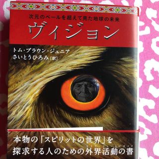 ヴィジョン 次元のベ－ルを超えて見た地球の未来(その他)