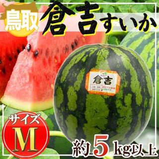鳥取県産　倉吉すいか　M　1玉　約5kg以上(フルーツ)