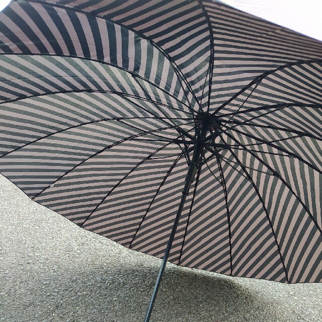 傘　16本骨 レディースのファッション小物(傘)の商品写真