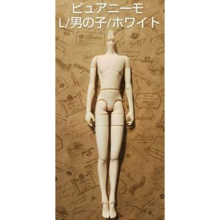 限定数のみ! 送料込み*ピュアニーモ フレクション L/男の子ボディ
