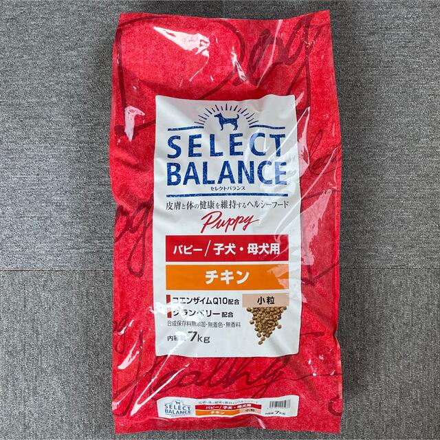 セレクトバランス　パピー　チキン　小粒　7kg　新品