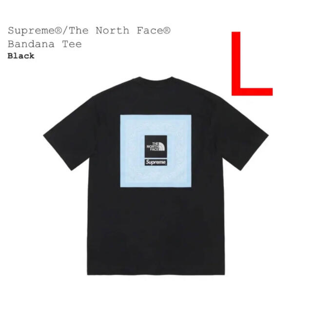 トップスSupreme The North Face Bandana Tee Lサイズ