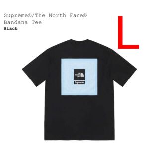 シュプリーム(Supreme)のSupreme The North Face Bandana Tee Lサイズ(Tシャツ/カットソー(半袖/袖なし))