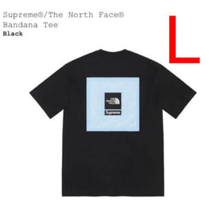シュプリーム(Supreme)のSupreme The North Face Bandana Tee Lサイズ(Tシャツ/カットソー(半袖/袖なし))