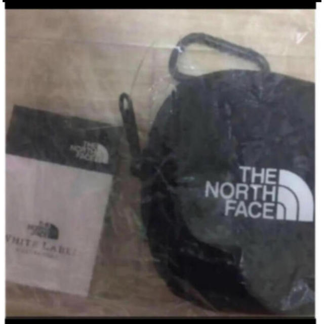 THE NORTH FACE(ザノースフェイス)の【未開封新品】ノースフェイス　ミニポーチ　マルチコインケース　カラビナ付　黒色 レディースのファッション小物(ポーチ)の商品写真