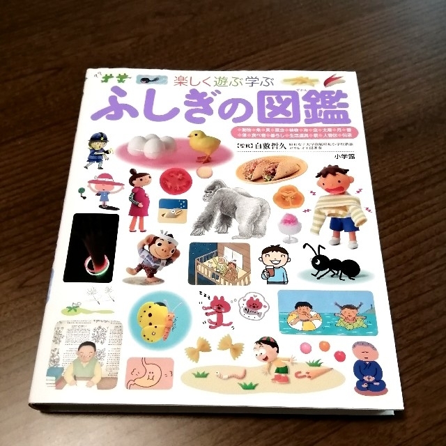 ふしぎの図鑑 楽しく遊ぶ学ぶ 新作