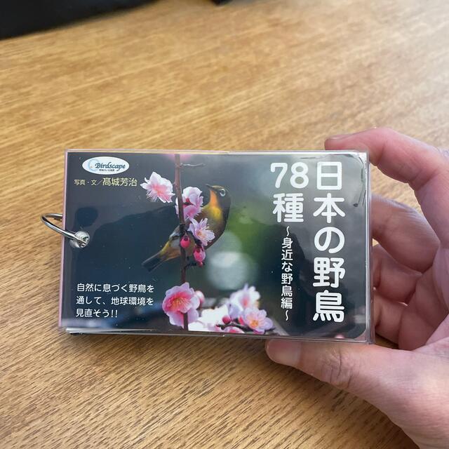 日本の野鳥７８種 身近な野鳥編　携帯用　 エンタメ/ホビーの本(その他)の商品写真