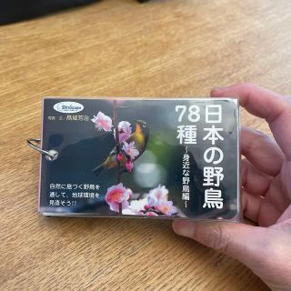 日本の野鳥７８種 身近な野鳥編　携帯用　(その他)