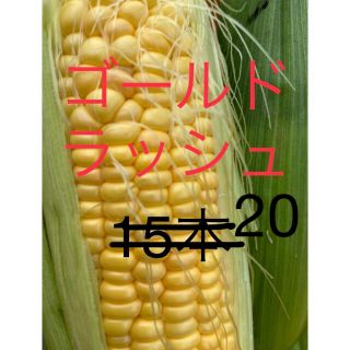 トウモロコシ　ゴールドラッシュ　20 めーれー様専用(野菜)