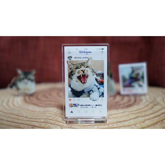 【A】リキちゃんアクスタ2種セット(リキスタグラム・香箱座り) ハンドメイドのインテリア/家具(インテリア雑貨)の商品写真