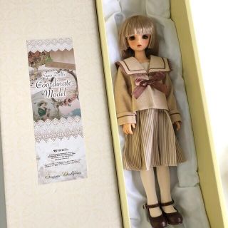 VOLKS - スーパードルフィー SDM コーディネートモデル 33番タン肌の