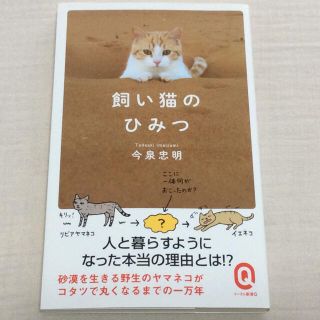 飼い猫のひみつ(その他)