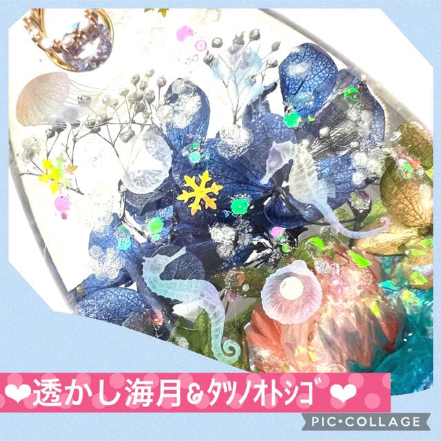 【海月＆ﾀﾂﾉｵﾄｼｺﾞ】〜❄︎癒しの竜宮城❄︎〜❤︎夜光❤︎オーダー受付ページ