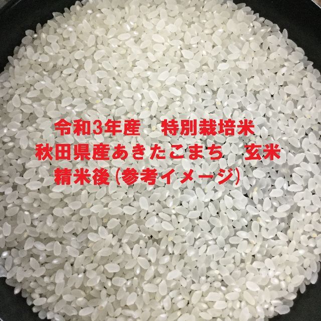 秋田県産 あきたこまち 玄米 30㎏ 精米無料 小分け可 horahhospitalar