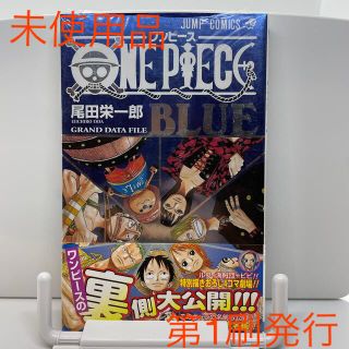 シュウエイシャ(集英社)のＯＮＥ　ＰＩＥＣＥ　ＢＬＵＥ　ＧＲＡＮＤ　ＤＡＴＡ　ＦＩＬＥ ＢＬＵＥ(その他)