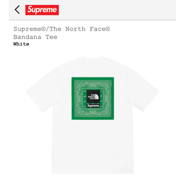 Supreme The North Face bandana tee