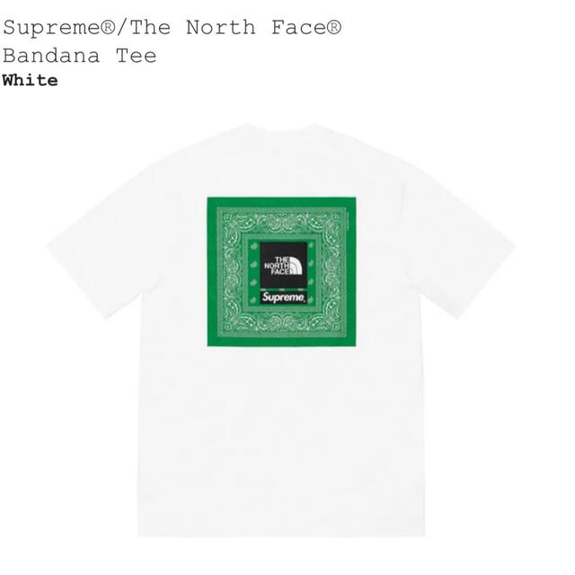 XLサイズ Supreme The North Face Bandana Tee