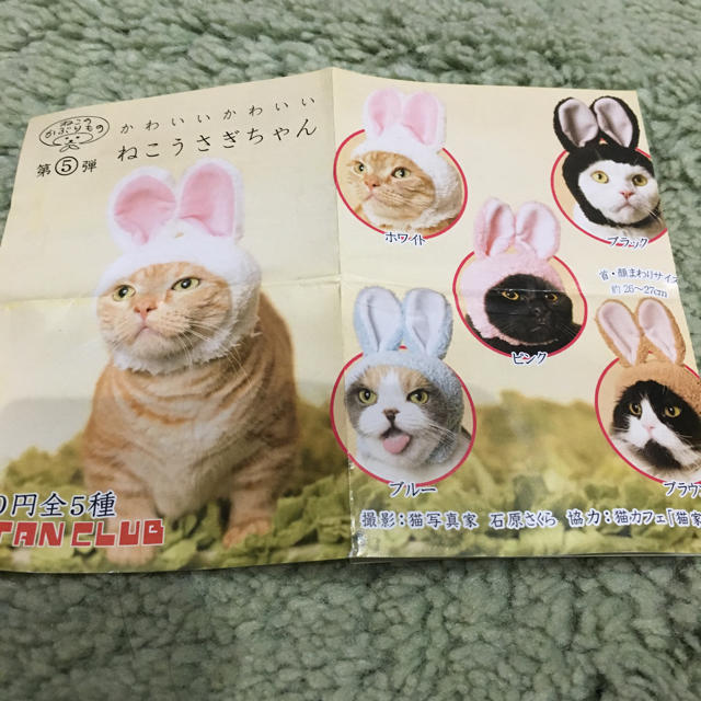 ねこのかぶりもの ねこうさぎちゃん 黒 その他のペット用品(猫)の商品写真