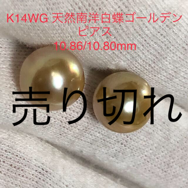 新素材新作 K14WG 天然南洋白蝶ゴールデン真珠ピアス 10.86/10.80mm