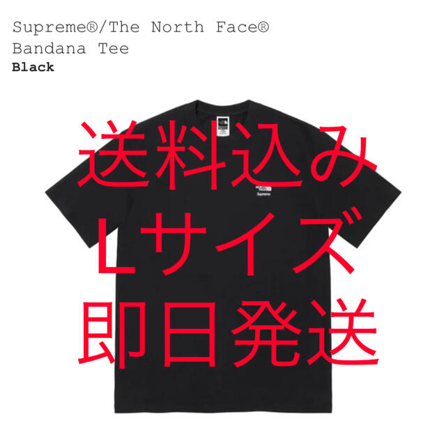 Supreme The North Face Bandana Tee黒LBlackサイズLサイズ状態