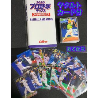 トウキョウヤクルトスワローズ(東京ヤクルトスワローズ)の2020プロ野球チップス アマゾンス限定 スペシャルボックス付属カードホルダー(スポーツ選手)