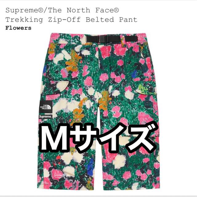 Supreme(シュプリーム)のSupreme The North Face Trekking Pant M メンズのパンツ(ワークパンツ/カーゴパンツ)の商品写真