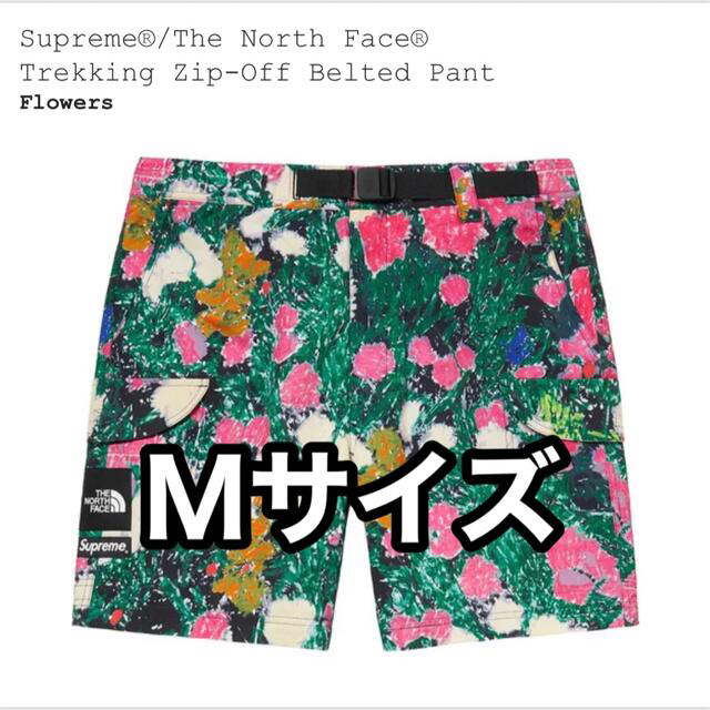 Supreme(シュプリーム)のSupreme The North Face Trekking Pant M メンズのパンツ(ワークパンツ/カーゴパンツ)の商品写真