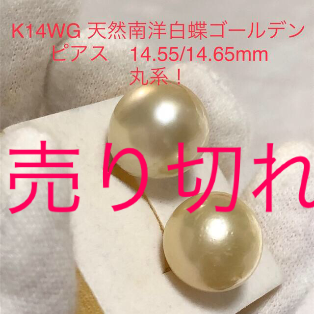 K14WG 天然南洋白蝶ゴールデン真珠ピアス　14.55/14.65mm