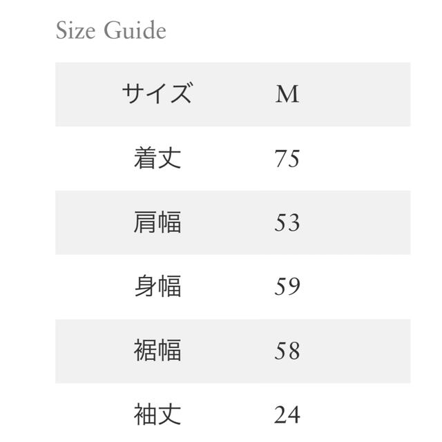 ロンハーマン クルーネックTシャツ　Pigment Dye Tee 5