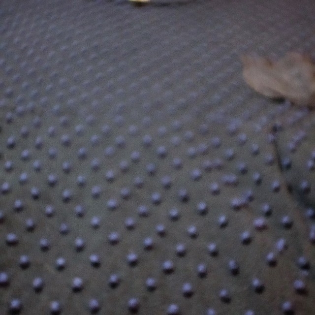 fig London(フィグロンドン)のフィグ ロンドン 3Dドット柄ワンピース レディースのワンピース(ひざ丈ワンピース)の商品写真