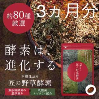 匠の野草酵素 野菜酵素 練酵素 ビタミン 乳酸菌  サプリメント 約3ヵ月分(その他)