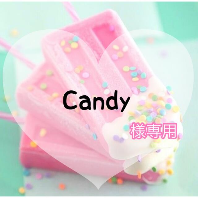 が大特価! Candy様専用 econet.bi