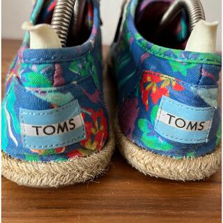 トムズ(TOMS)の✴︎　TOMS/Tropical Print/sneakers  ✴︎(スリッポン/モカシン)