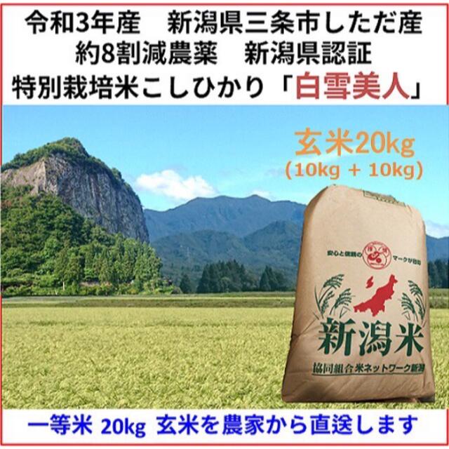 食品/飲料/酒玄米10kg+10kg　新潟県三条市しただ産　減農薬特別栽培米コシヒカリ白雪美人