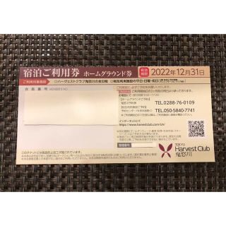 東急ハーヴェスト 宿泊利用券 2枚or1枚 lp2m.ustjogja.ac.id 東急ハーヴェスト 宿泊利用券 2枚or1枚 lp2m.ustjogja.ac.id
