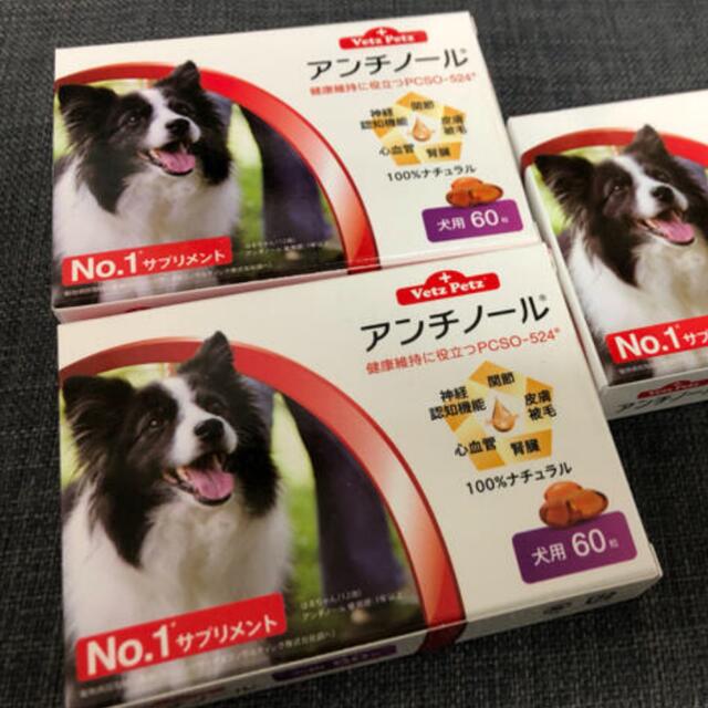 アンチノール 犬用 60粒 2箱〈おまけ付き〉 完璧 7380円 sandorobotics.com