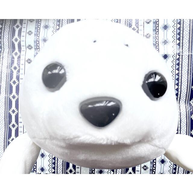 江ノ島水族館 人気 アザラシ あざらし ぬいぐるみ キャラクター 江ノ島水族館 人気 アザラシ あざらし ぬいぐるみ キャラクター