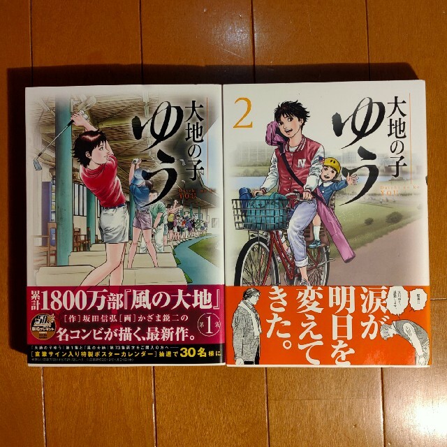 小学館(ショウガクカン)の大地の子ゆう １,2   計2冊 エンタメ/ホビーの漫画(青年漫画)の商品写真