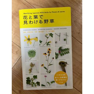 花と葉で見わける野草　監修/近田文弘　写真/亀田龍吉　文/有沢重雄(趣味/スポーツ/実用)