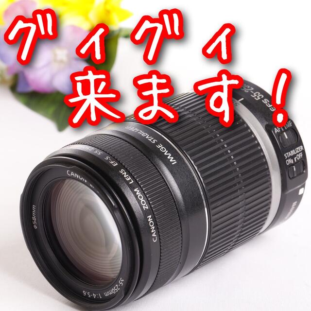 キャノン望遠レンズ⭐️EF-S 55-250mm手ブレ補正つき⭐️