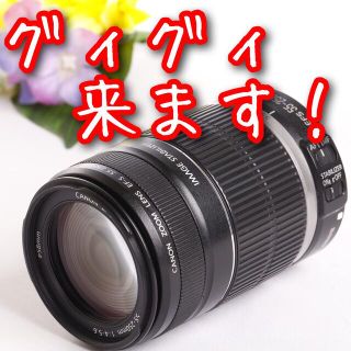 キヤノン(Canon)のキャノン望遠レンズ⭐️EF-S 55-250mm手ブレ補正つき⭐️(レンズ(ズーム))