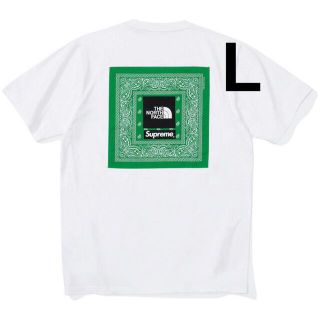 シュプリーム(Supreme)のSupreme The North Face Bandana Tee(Tシャツ/カットソー(半袖/袖なし))