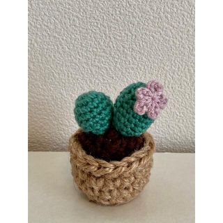 水のいらない毛糸のサボテン　🌵　パープル(置物)