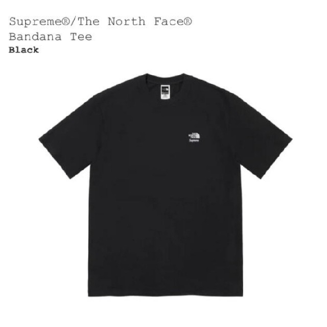 Supreme(シュプリーム)のSupreme The North Face Bandana Tee メンズのトップス(Tシャツ/カットソー(半袖/袖なし))の商品写真